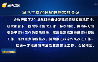 冯飞主持召开省政府常务会议 研究部署审计整改等工作