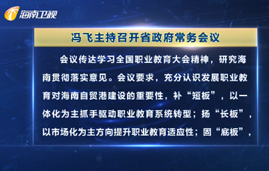 冯飞主持召开七届省政府第72次常务会议 研究贯彻落实全国职业教育大会精神等工作