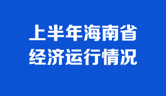 上半年海南经济运行情况